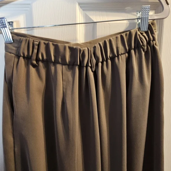 Tan Dress Pants with Wide-Leg Design and Pleated Front - Picture 4 of 15